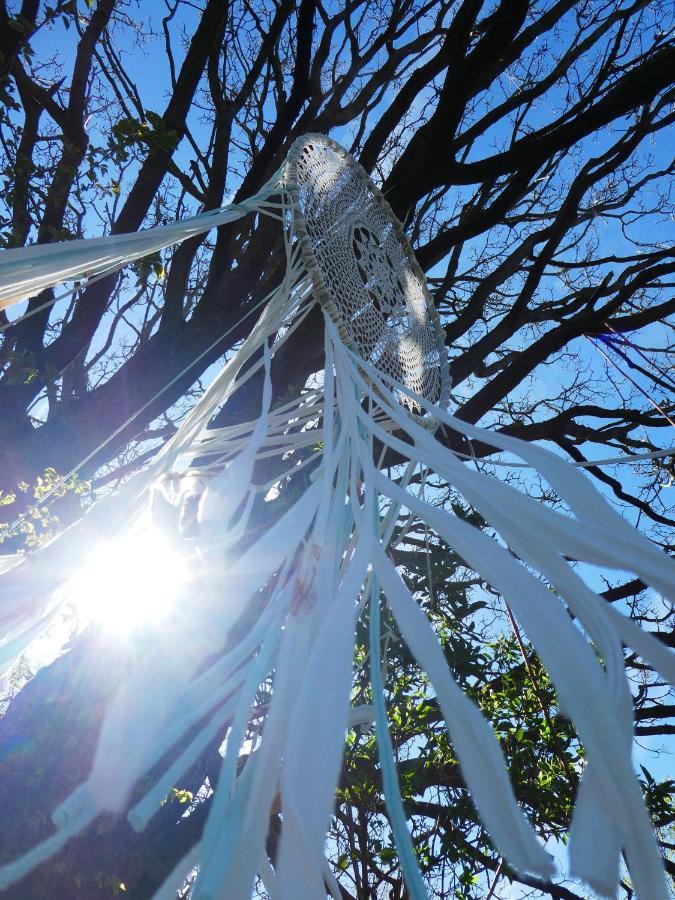 Glashaus Sternblick, Schlafen Unterm Sternenhimmel Neustadt am Kulm Eksteriør bilde